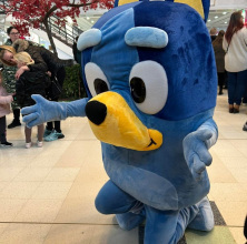 Screenshot_20251122_145340_Facebook