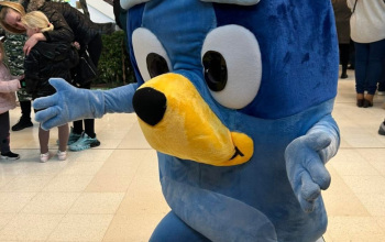 Screenshot_20251122_145340_Facebook